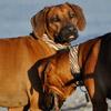 Mit Awalani macht´s doppelt Spass am Strand!