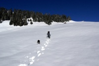 Es macht so riesen Spass, neue Spuren in den Schnee zu setzen...