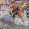 Wasserspiele... machen irre Spass!