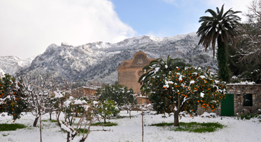 Sóller - ein kleines verschlafenes, heute verschneites Dorf im Tramuntana Gebirge!