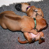 Kuscheln mit meiner Schwester Frau Grün...