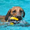 Eine Poolsession - 'meine Zwei' wissen eben was mir Spass macht...