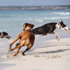 Paula und Charly kennen nur Vollgas... *g*